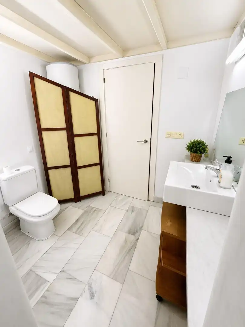 Bathroom of Attic for sale in Valencia