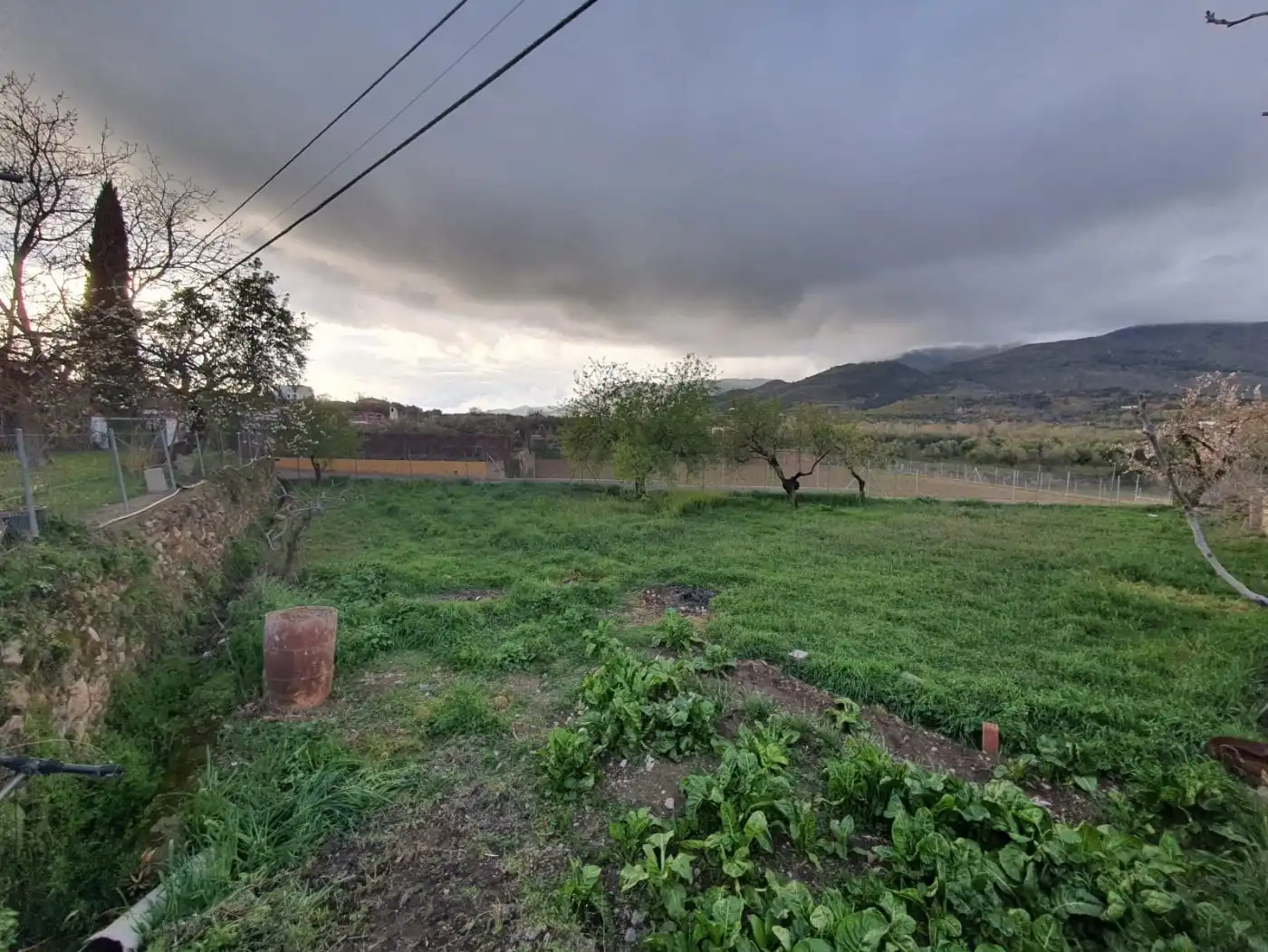 Finca rústica en venda en Fondón