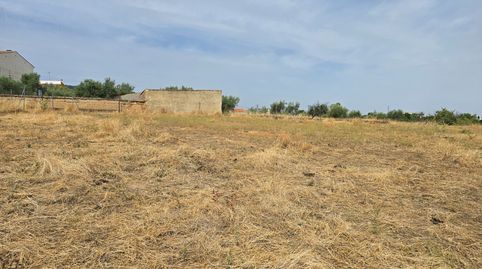 PARCELA URBANA.  ALISEDA (CÁCERES)., immagine 5