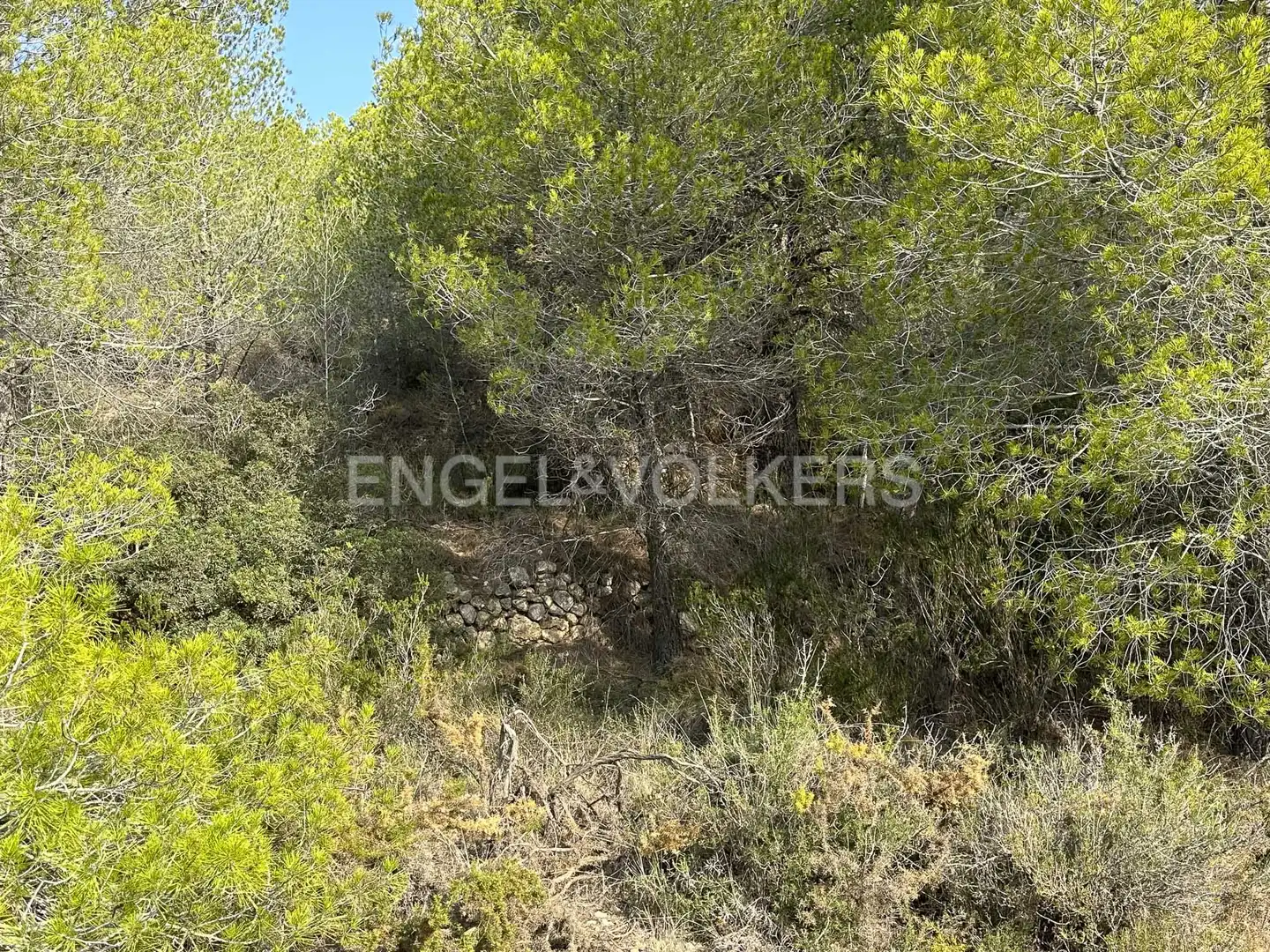 Residential land for sale in Torrelles de Foix, imagen 19