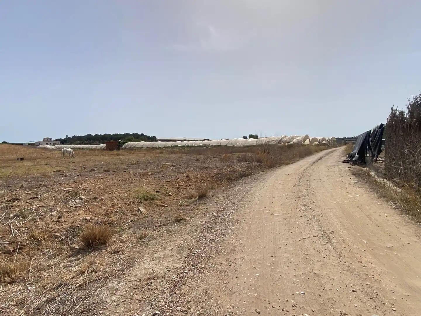 Finca rústica en venta en Aljaraque