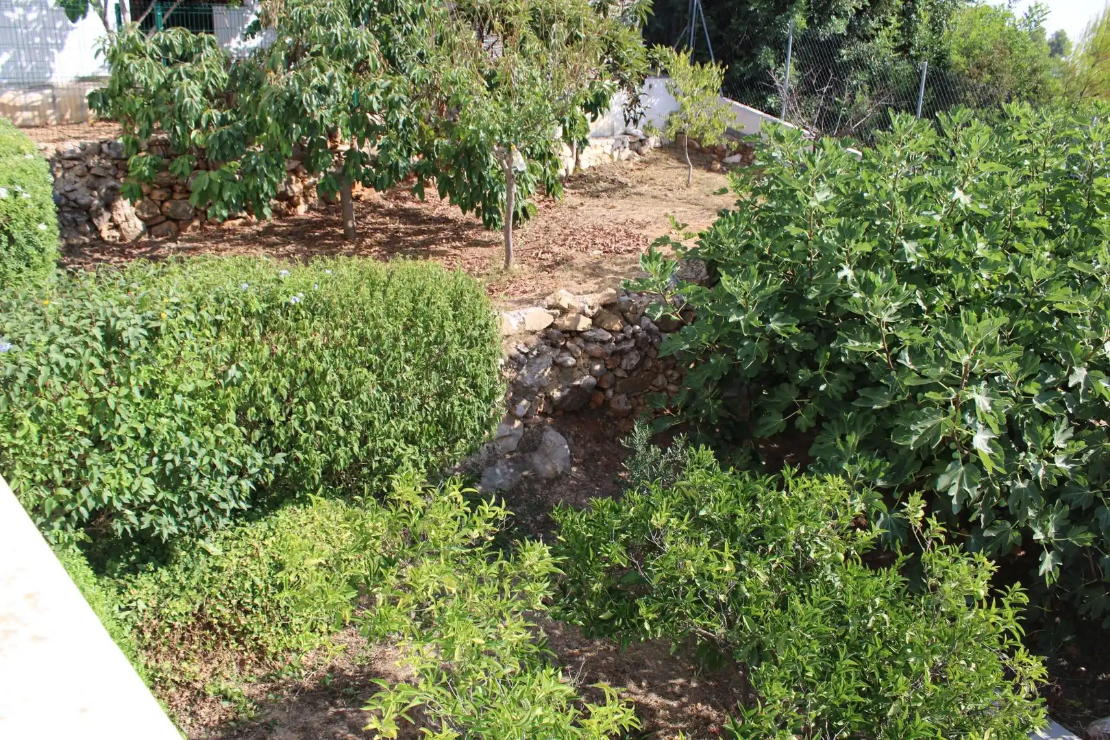 Villa à vendre à Oliva pueblo, imagen 34
