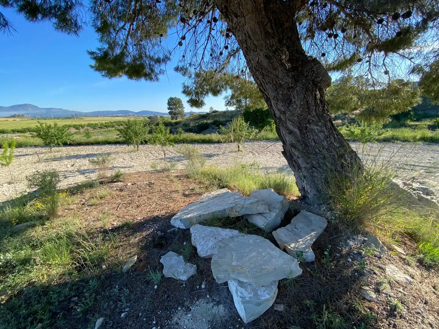 Villa à vendre à Moratalla, imagen 20