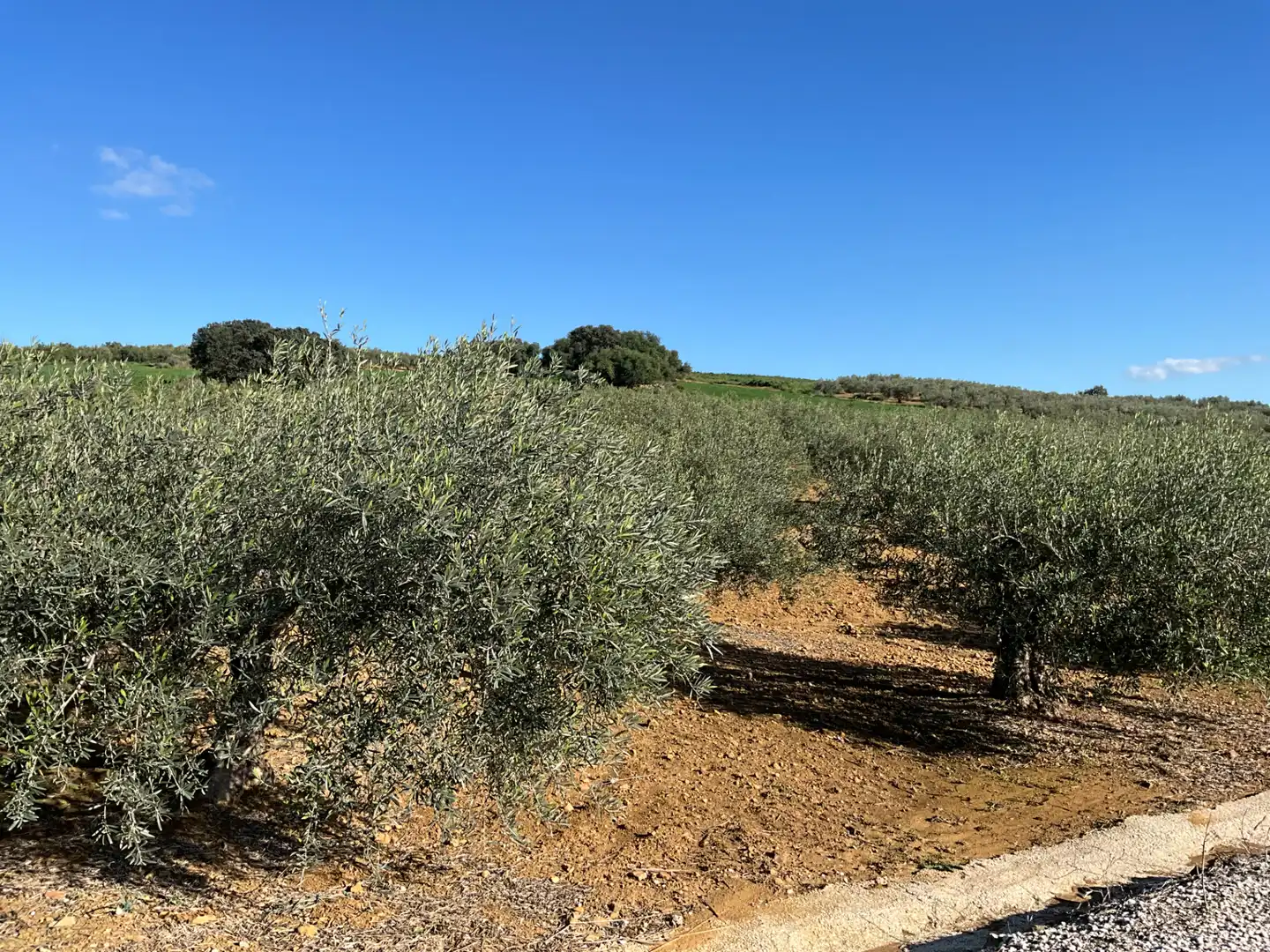 Terreno en venta en Alozaina