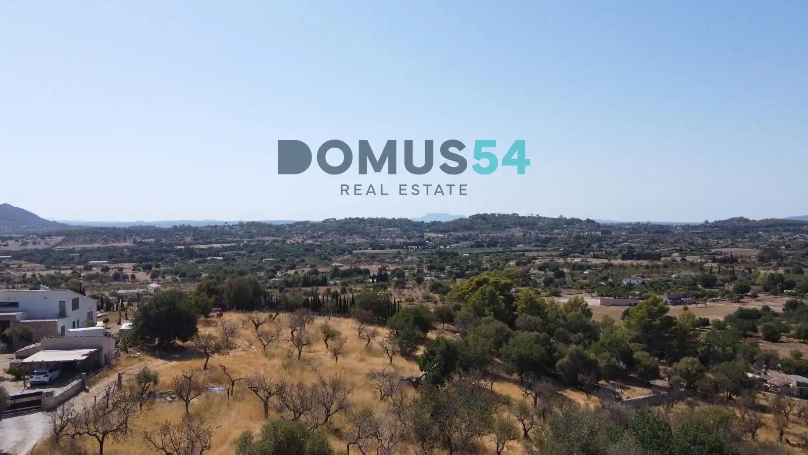 Land for sale in Selva