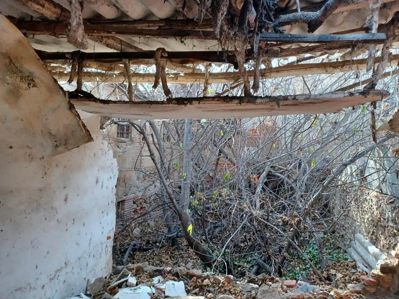 Grundstücke und Bauplätze zum Verkauf in Jón San Miguel 5, imagen 33