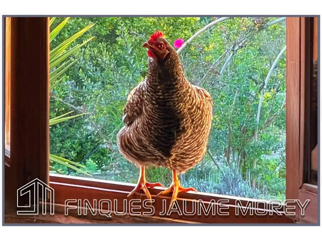 Maison rustique avec piscine à vendre à Calle Carretera de Marjals 1