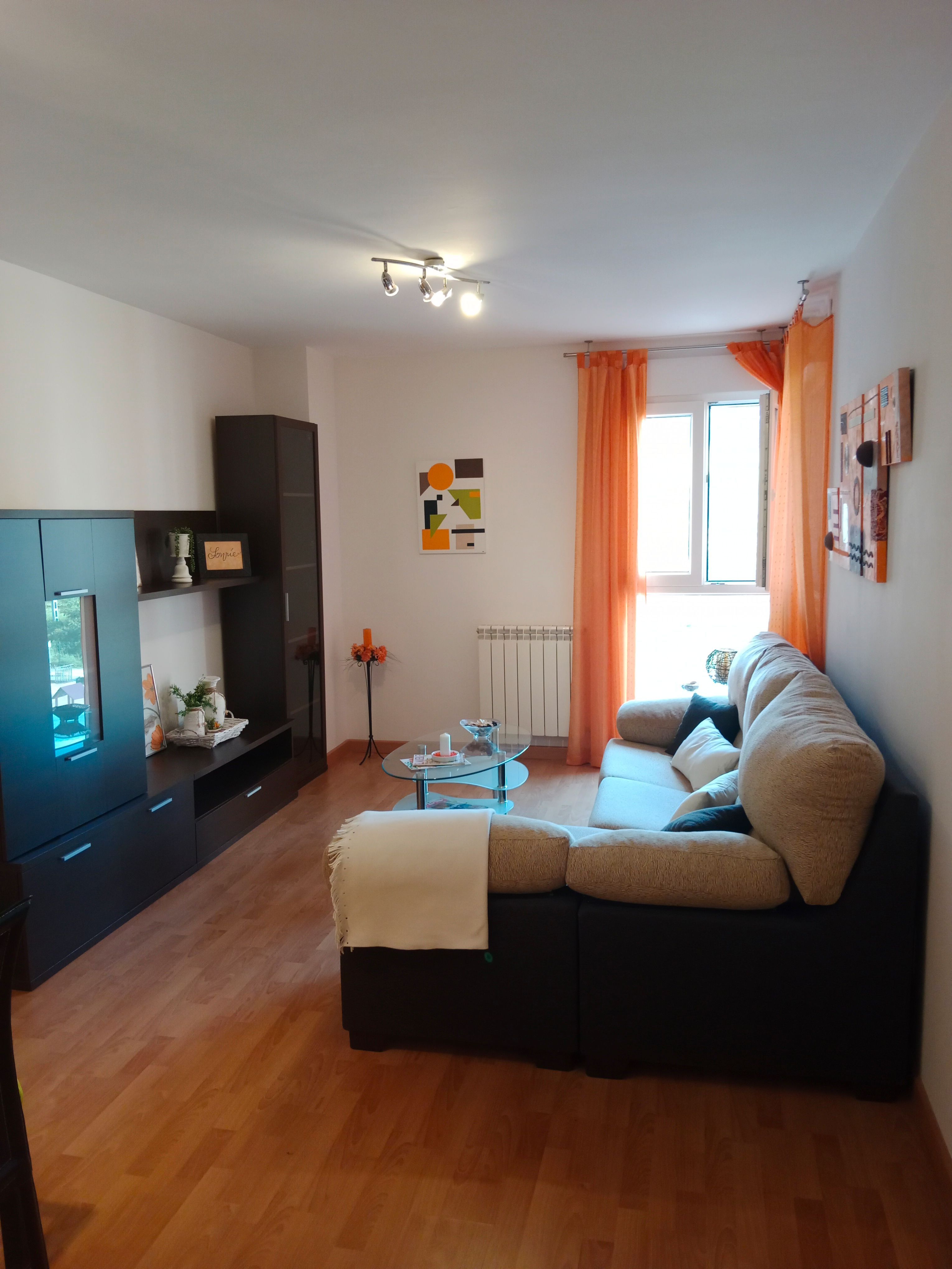 Living room of Flat for sale in Santander