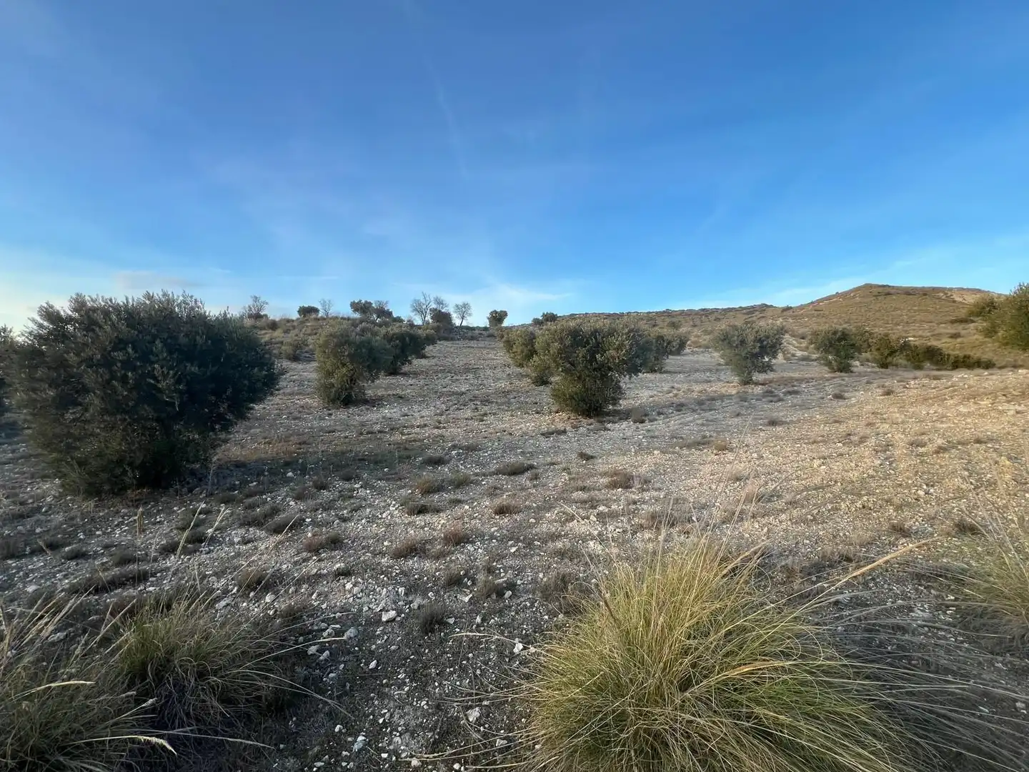 Rural land for sale in Polígono, imagen 4