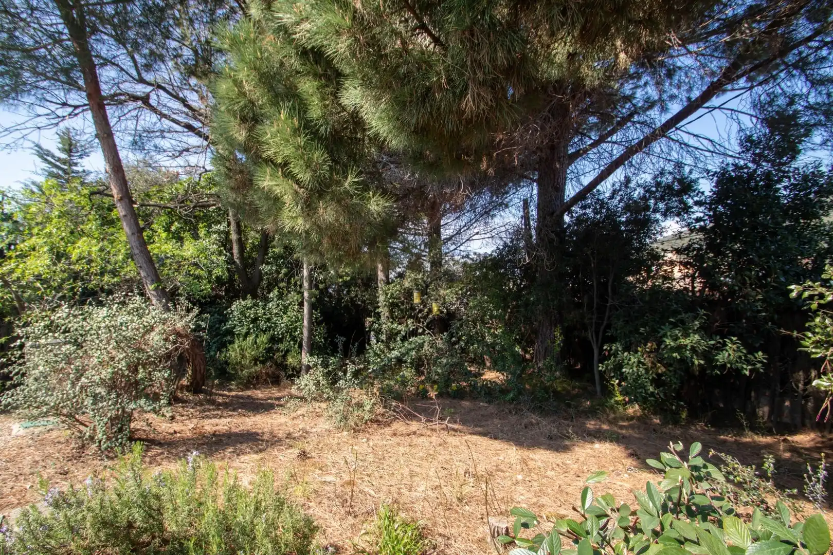 Maison à vendre à Poble, imagen 23