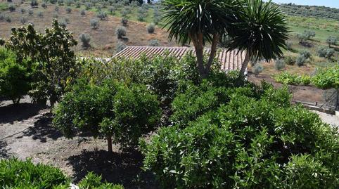 Foto 4 de Finca rústica en venda a Alcaucín, Málaga