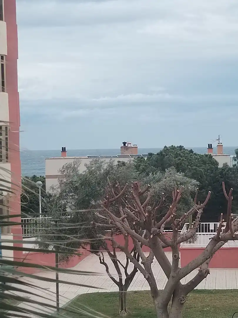 Vista exterior de Pis en venda en La Manga del Mar Menor amb Terrassa, Moblat i Forn