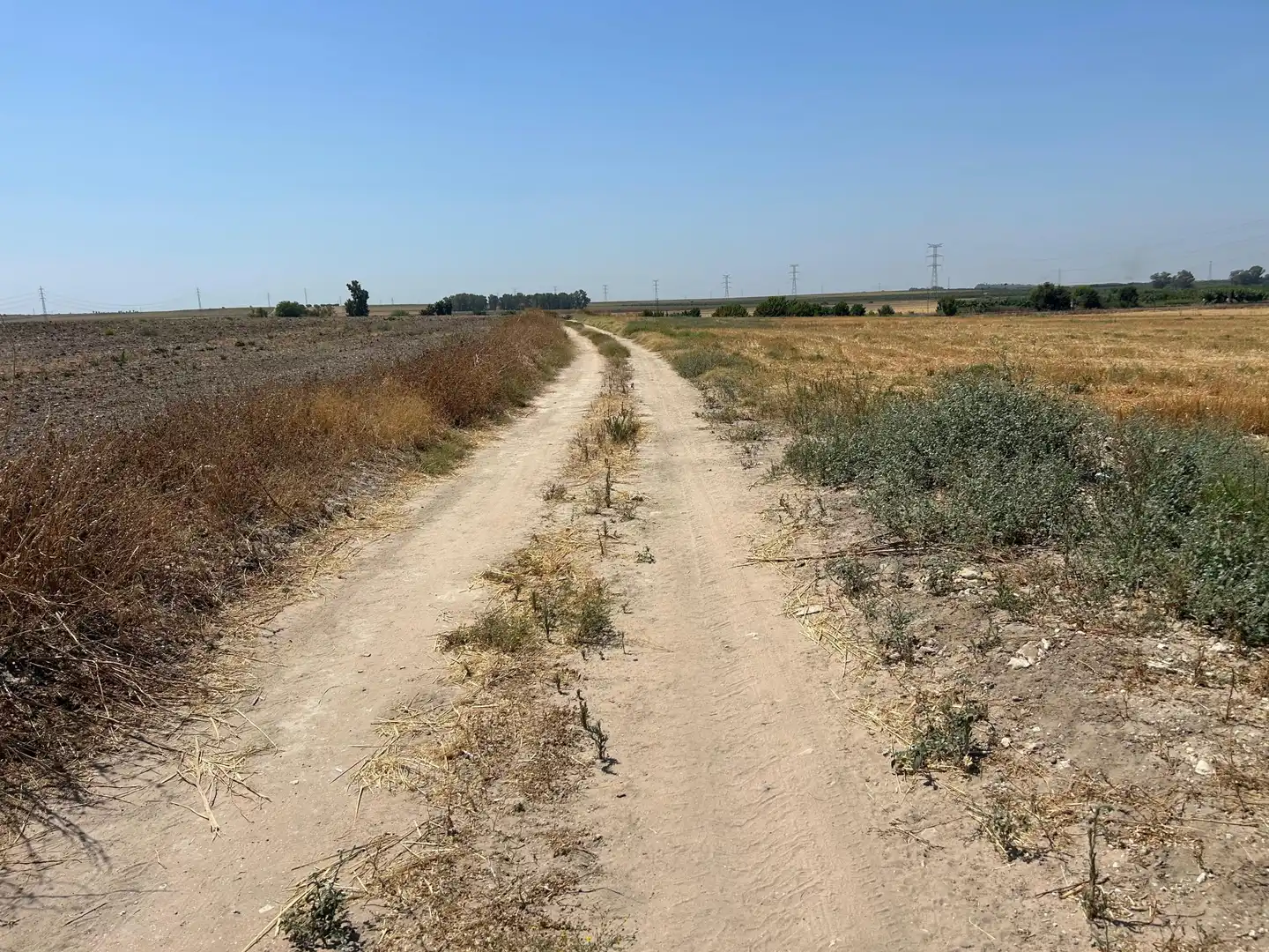 Terreno residencial en venta en POLIGONO 3 PARCELA 317 LA DEHESILLLA, imagen 2