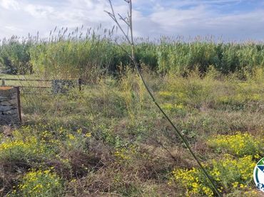 Terreny rústic en venda a Torroella de Fluvià