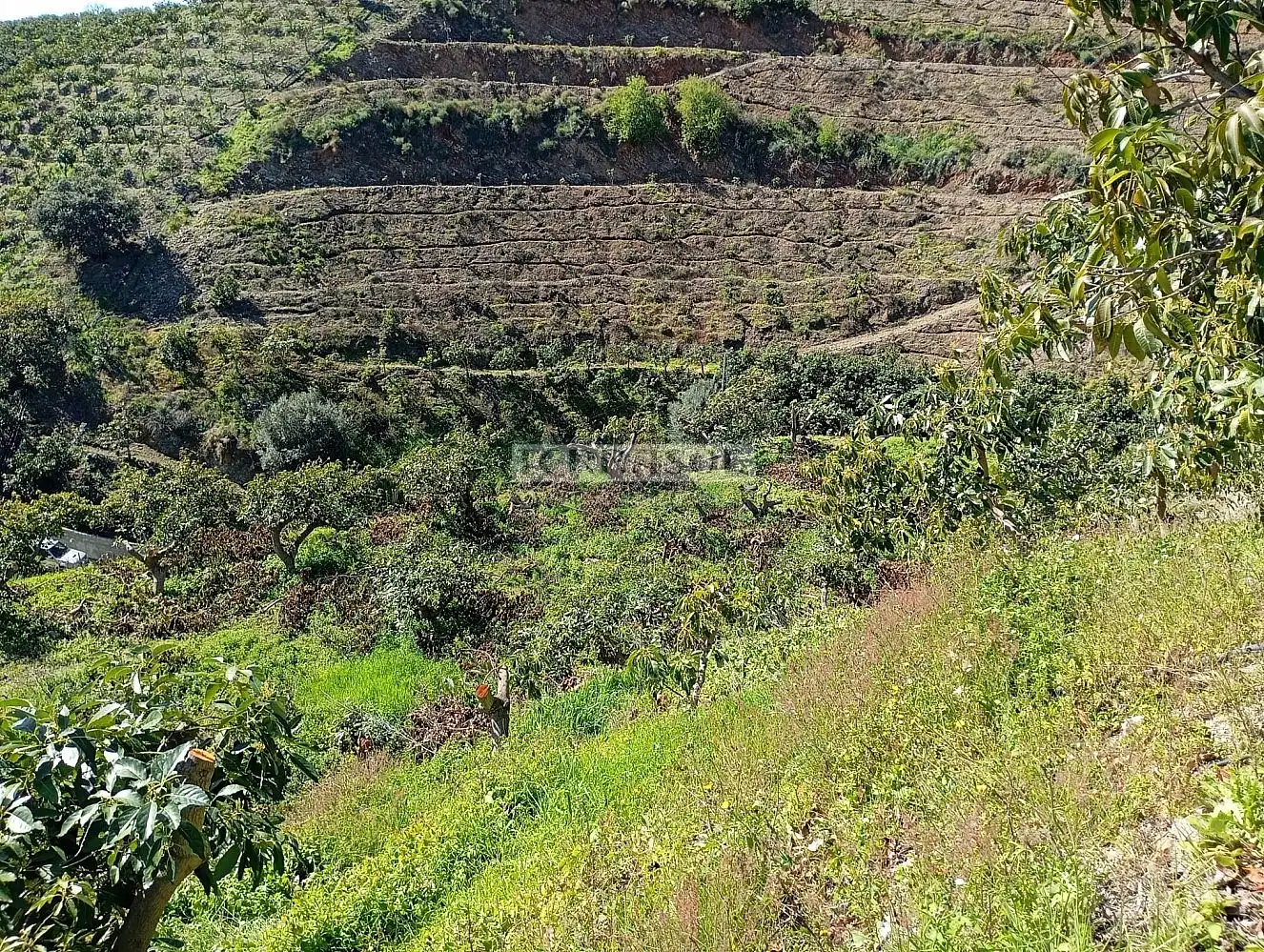 Grundstücke und Bauplätze zum Verkauf in Vélez-Málaga ciudad, imagen 38