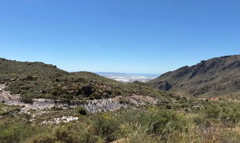 Terreny rústic en venda a Camino de Huebro, imagen 4