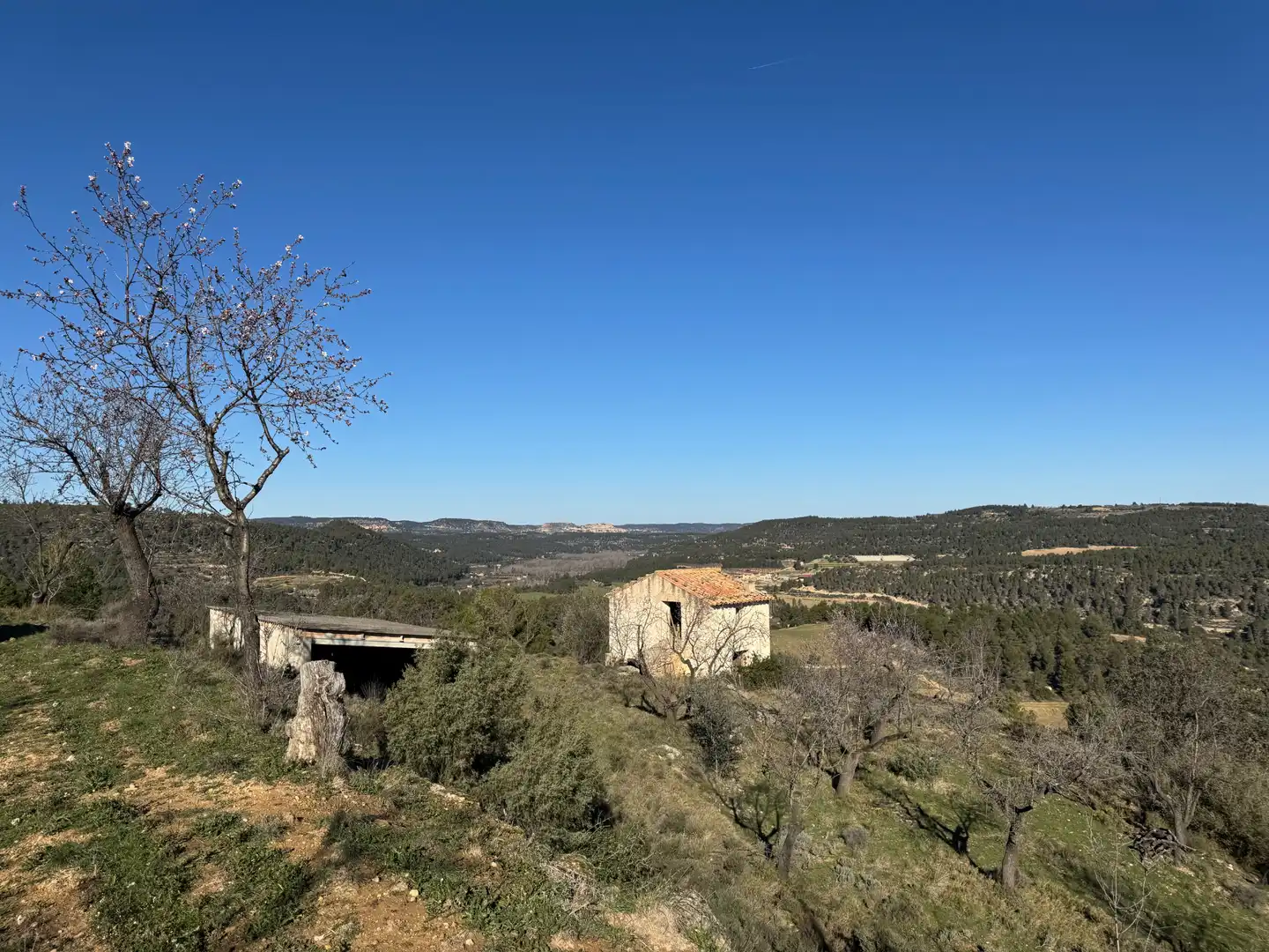 Terreni e lotti in vendita a Valderrobres, imagen 31