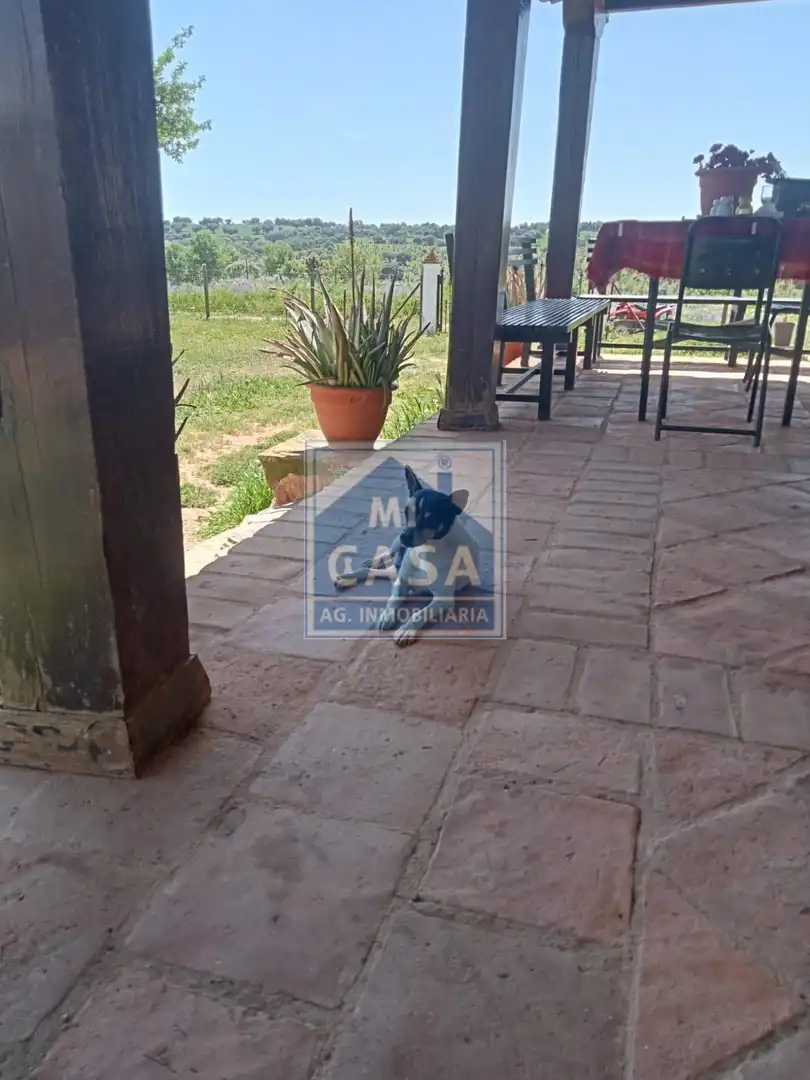Jardín de Finca rústica en venta en Oliva de Mérida con Aire acondicionado, Calefacción y Terraza