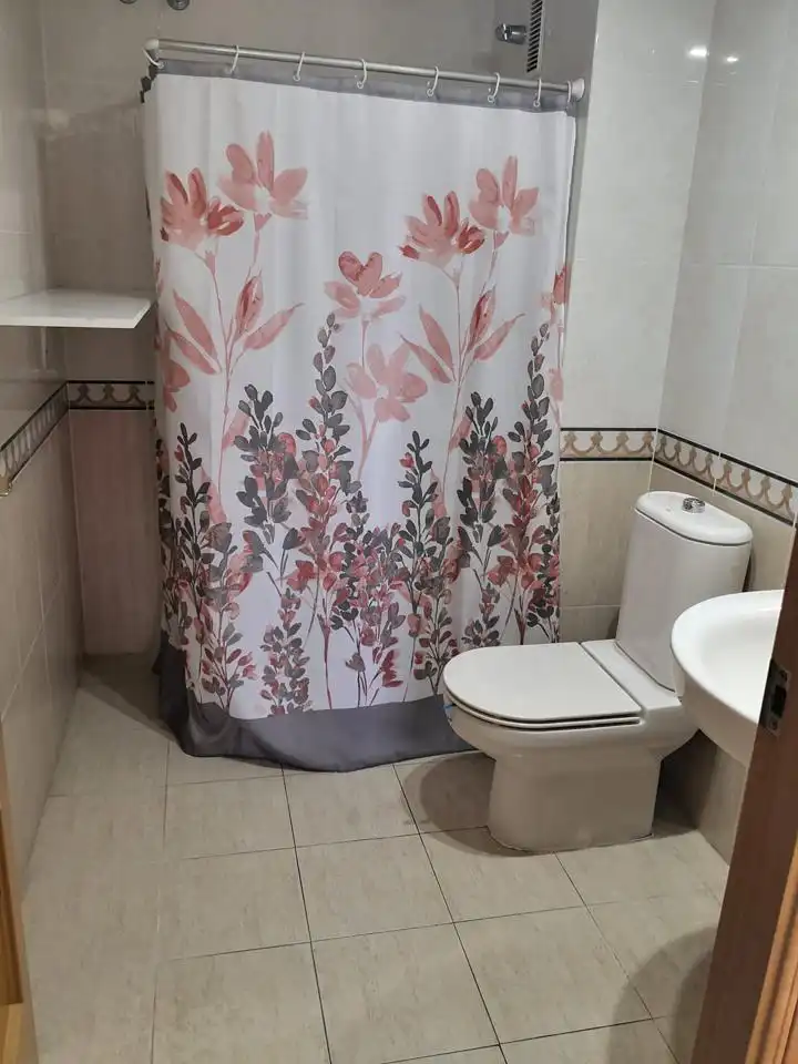 Bathroom of Flat for rent in Burjassot