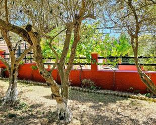 Garden of Country house for sale in Jerez de la Frontera  with Air Conditioner, Heating and Private garden