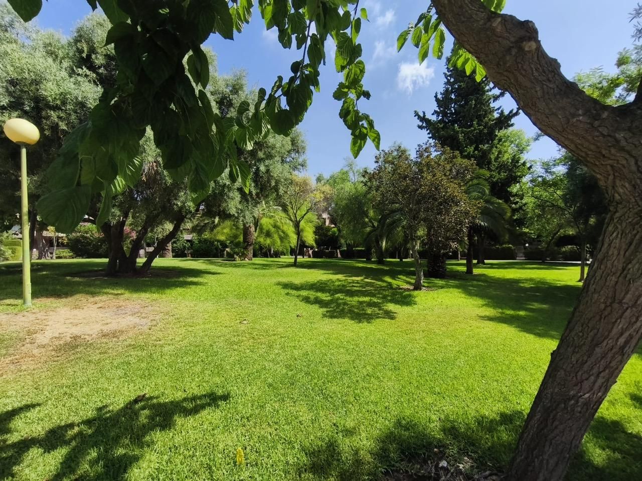Jardí de Casa o xalet de lloguer en Sant Joan d'Alacant