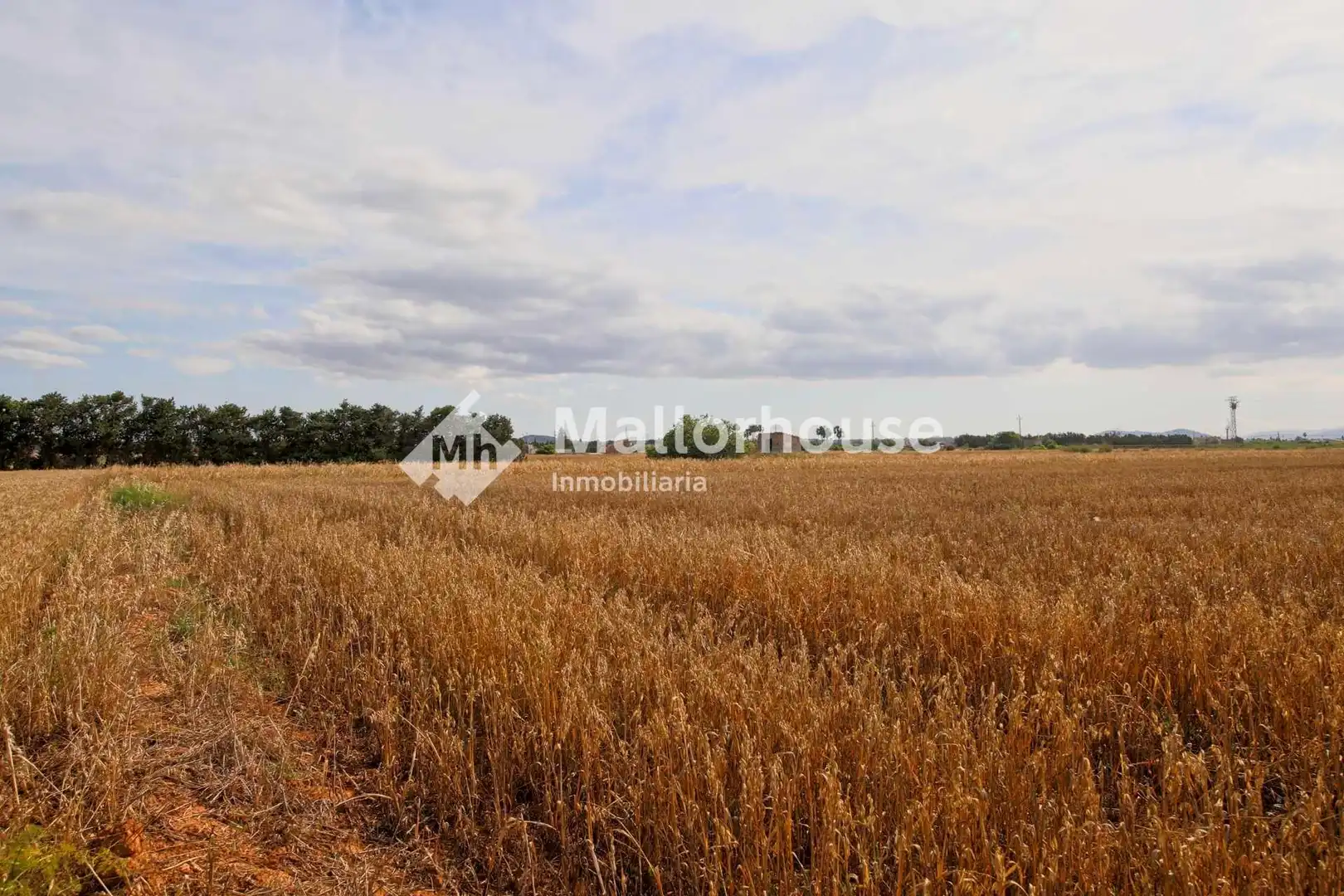 Lands and plots for sale in Polígono 10, imagen 3