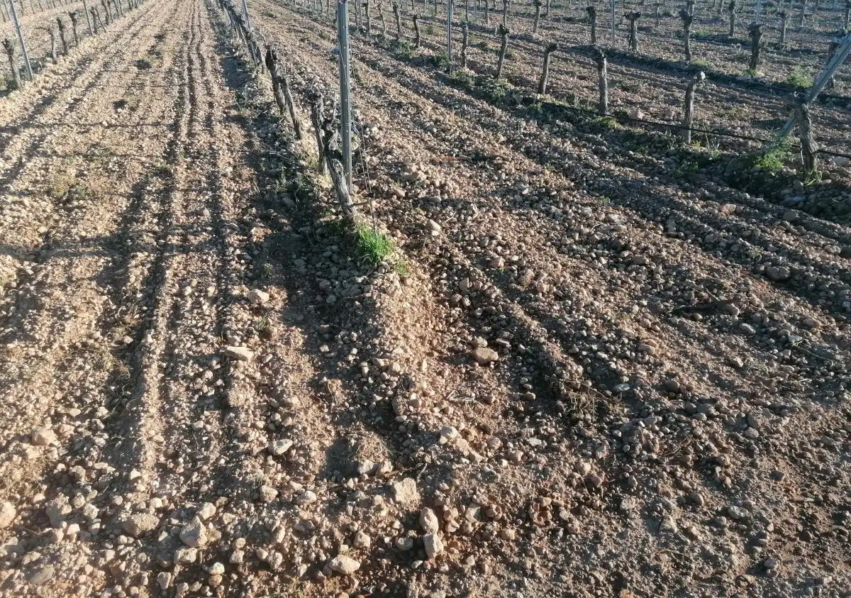 Casa rústica en venda a Valdepeñas