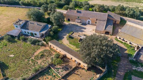 Foto 4 de Finca rústica en venda a Vilafranca de Bonany, Illes Balears