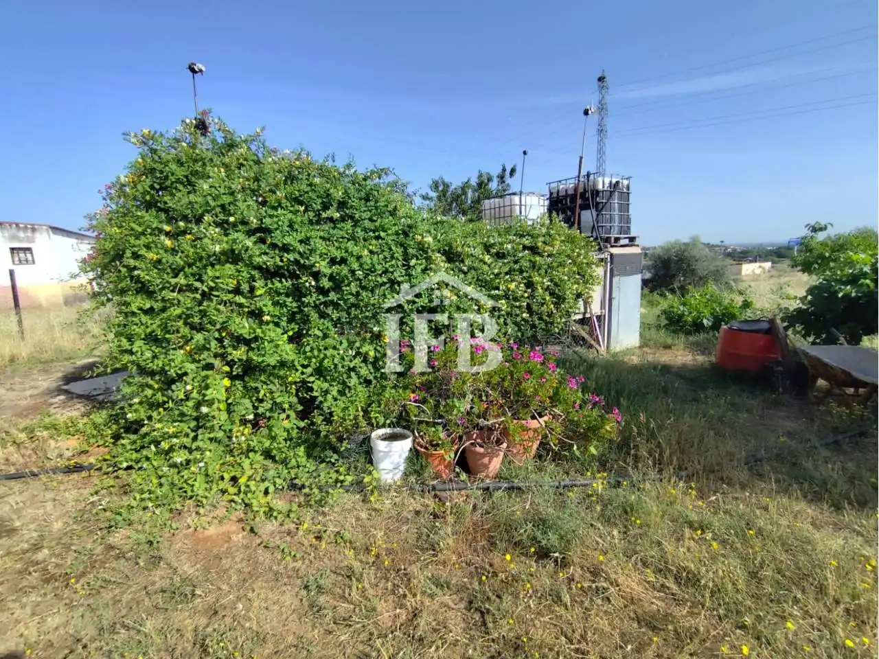Terreni e lotti in vendita a Carretera de Sevilla - Los Montitos, imagen 11