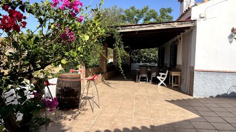 Foto 4 de Finca rústica en venta en Molvízar, Granada