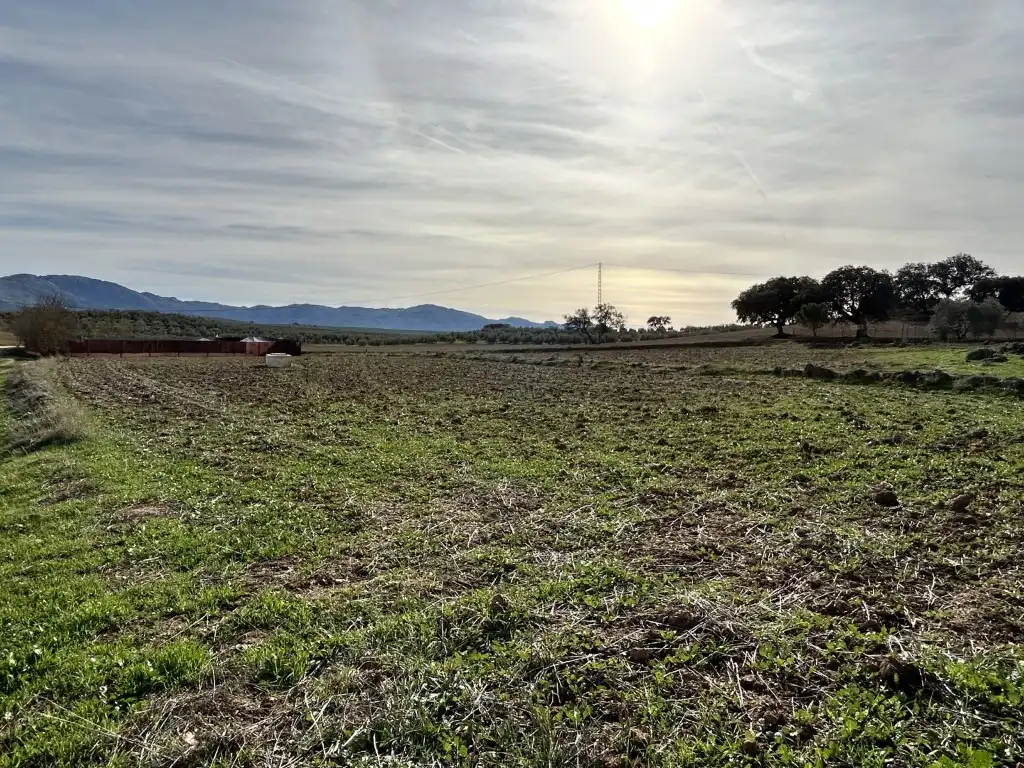 Country house for sale in Archidona, imagen 17