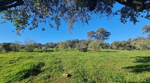 Venta de terreno junto a Puerto Calatraveño, immagine 3