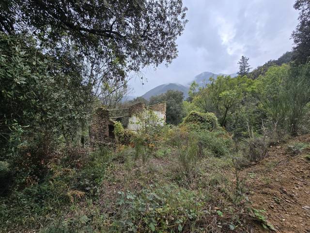 Finca rústica en Venta en SUSQUEDA I OSOR en Susqueda