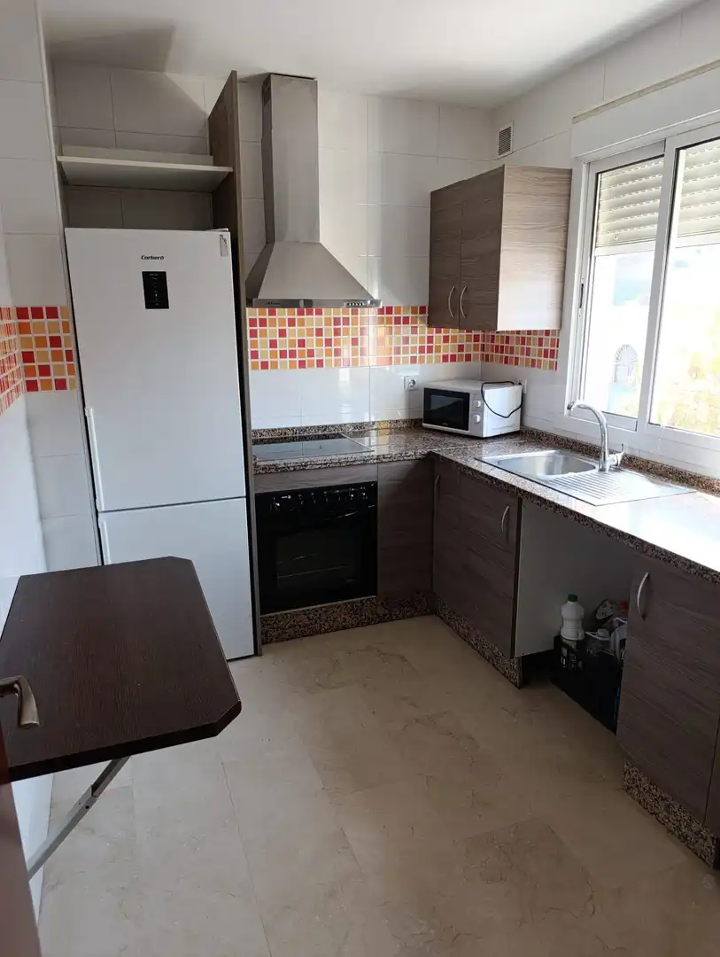 Apartments for rent in Centro