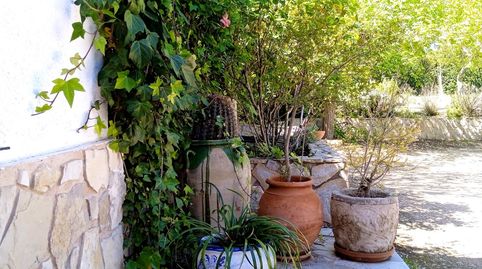 Foto 3 de Casa o chalet en venta en San Crispín - Huerta Nueva-Estación, Elda