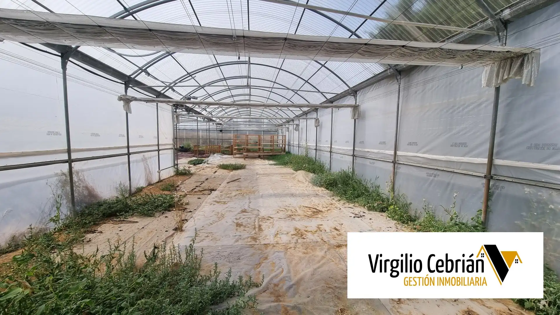 Casa rústica amb jardí en venda a Las Tres Piedras - Costa Ballena, imagen 13
