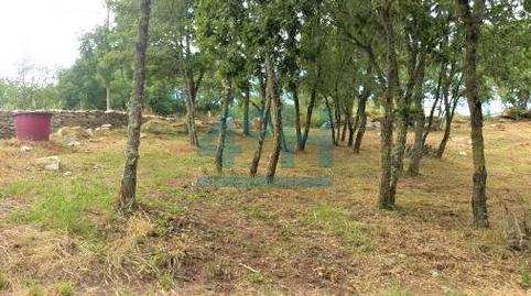 Foto 4 de Residencial en venda a Allariz, Ourense