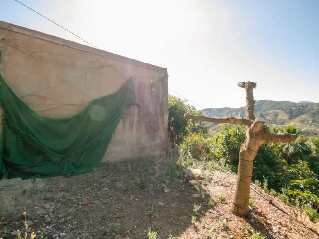Exterior view of Houses for sale in Monda