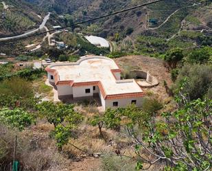 Exterior view of Country house for sale in Sayalonga  with Swimming Pool