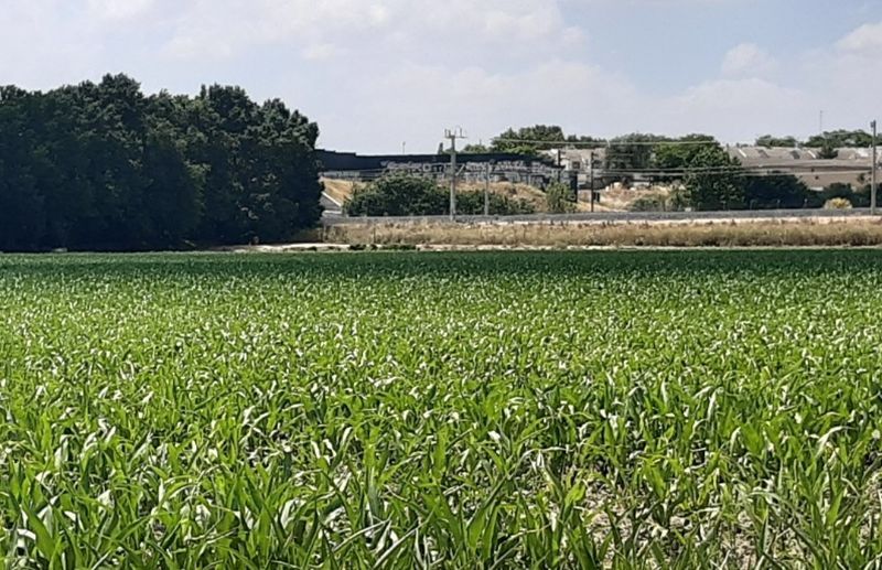 Land for sale in Getafe