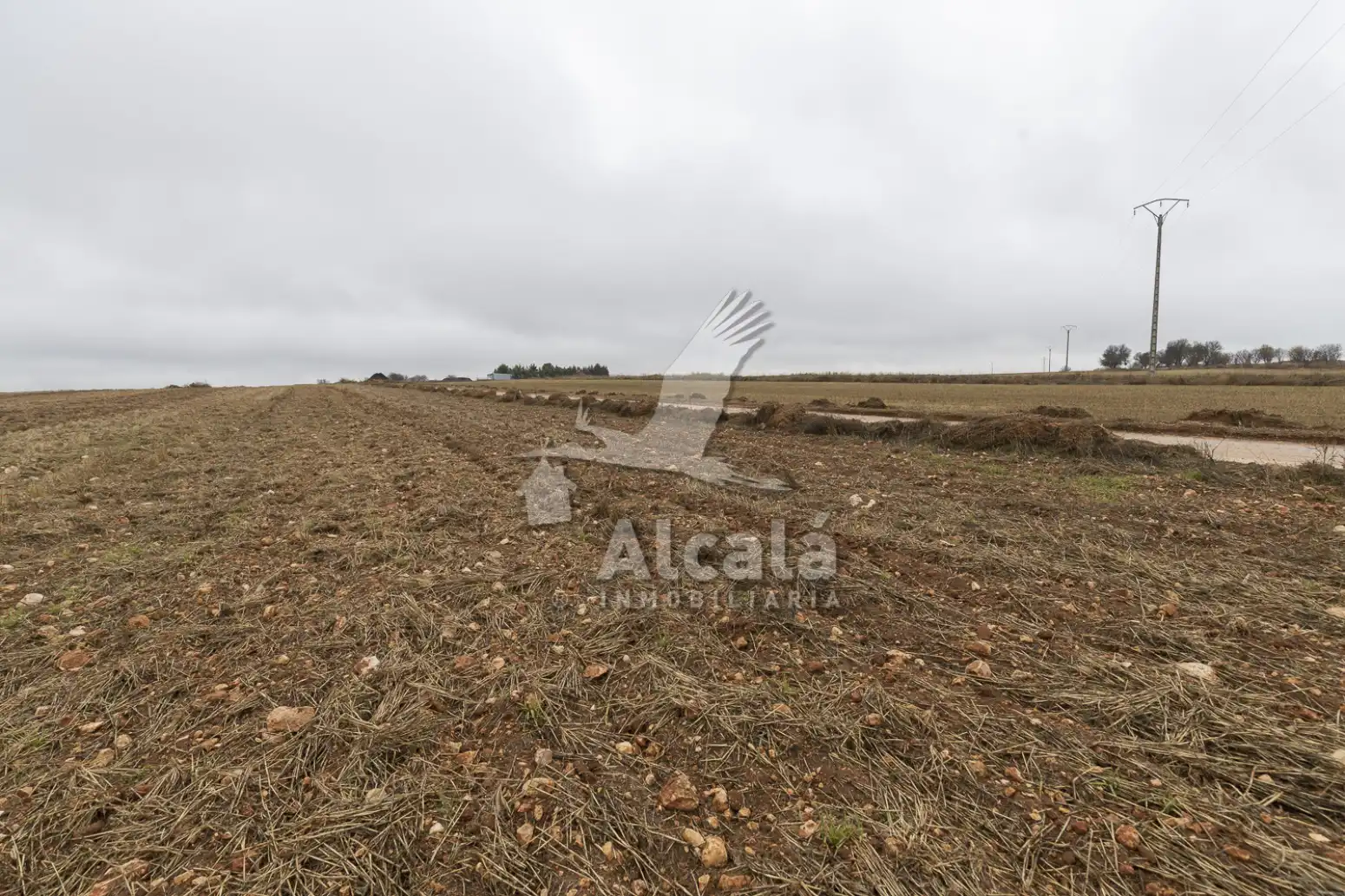 Rural land for sale in Pezuela de las Torres, imagen 19