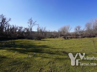 Terreno rústico en venta en Campillo de Ranas