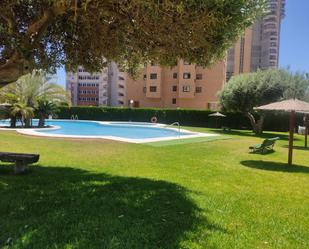 Swimming pool of Attic for sale in Benidorm  with Parquet flooring, Terrace and Community pool