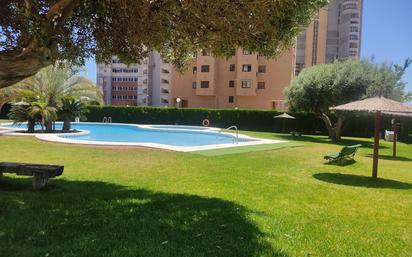 Swimming pool of Attic for sale in Benidorm  with Parquet flooring, Terrace and Community pool