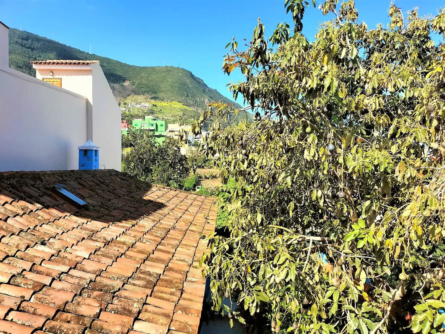 Vista exterior de Casa o chalet en venta en Los Realejos con Jardín privado y Trastero