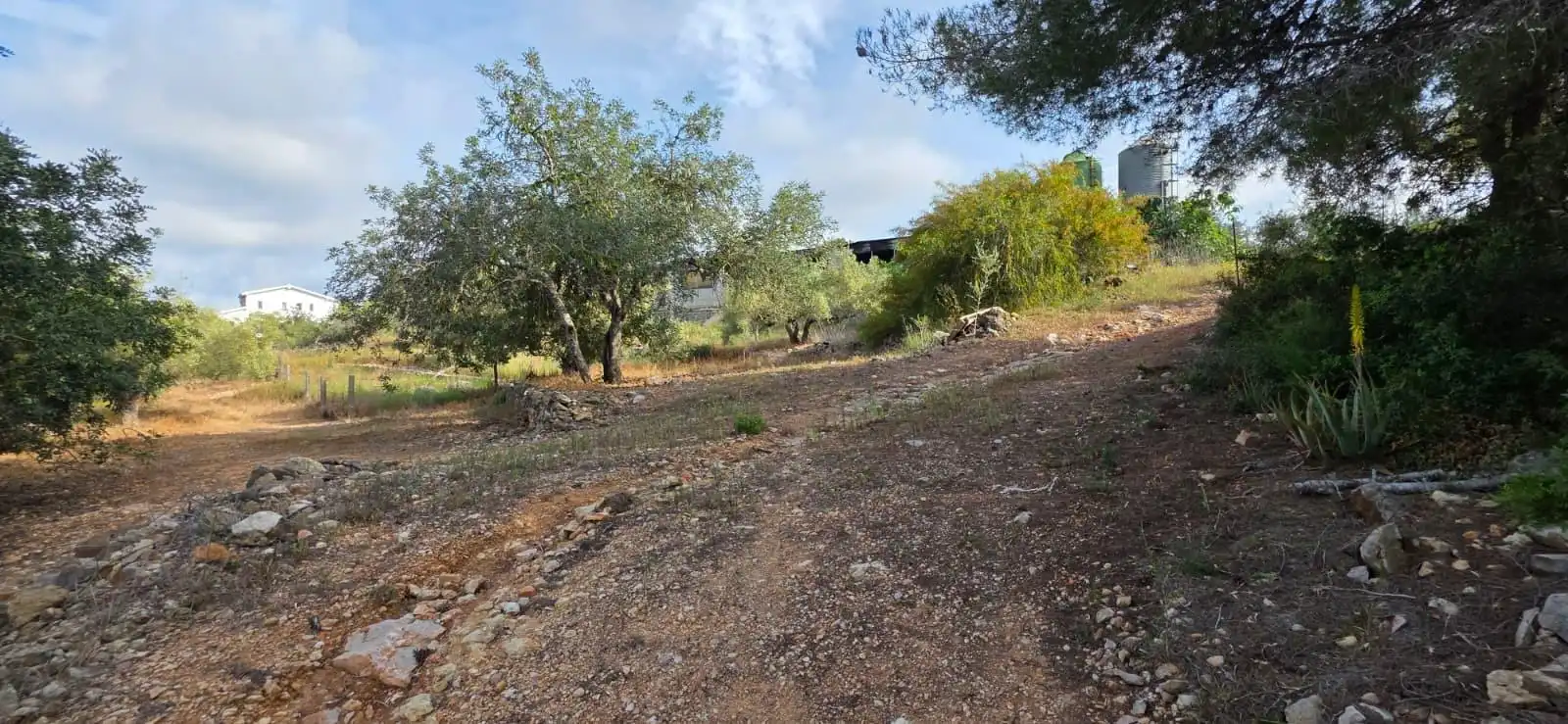 Country house for sale in El Perelló, imagen 15