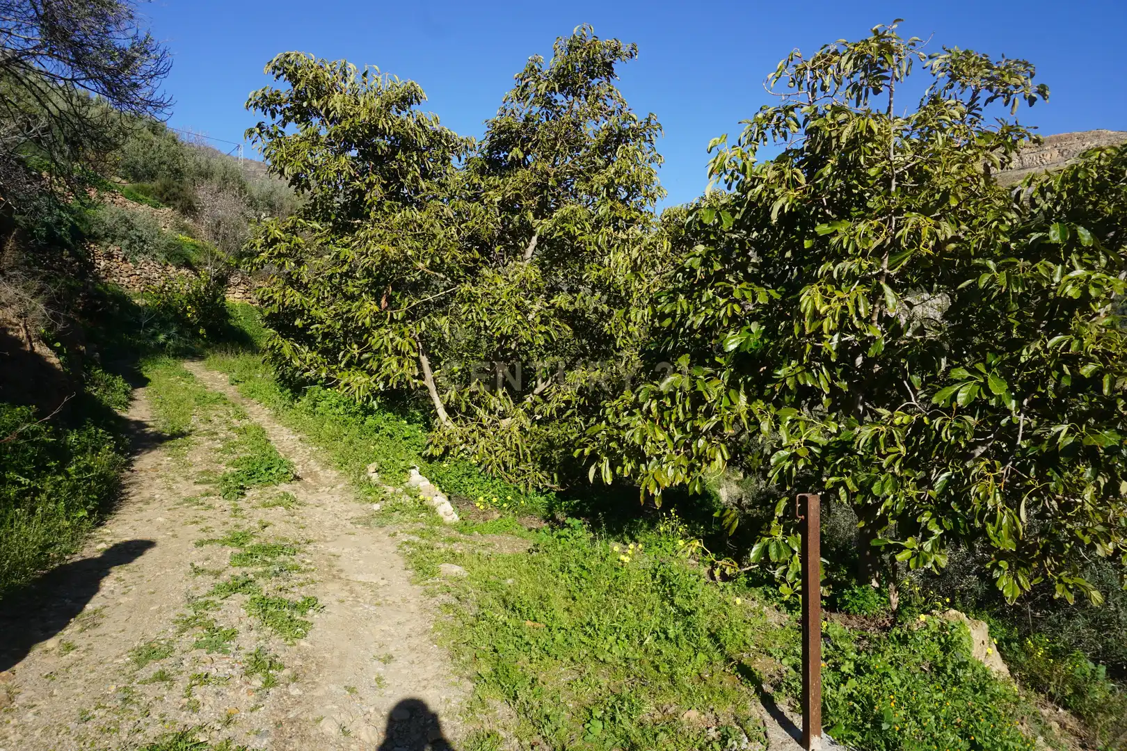 Terreni e lotti in vendita a WG79+QW Lanjarón, Spain, imagen 2