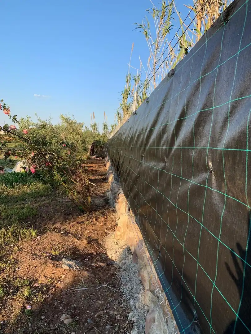 Terreno rustico in vendita a Sagunto ciudad, imagen 4