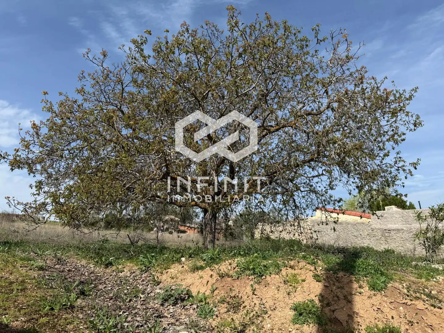Residencial en venda en Escopete