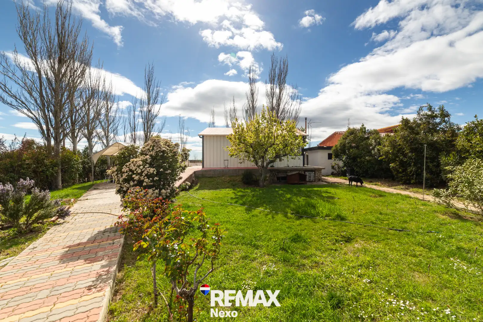 Vista exterior de Casa o chalet en venta en Cistérniga con Jardín privado, Terraza y Trastero